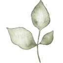 Hand-painted watercolor leaf