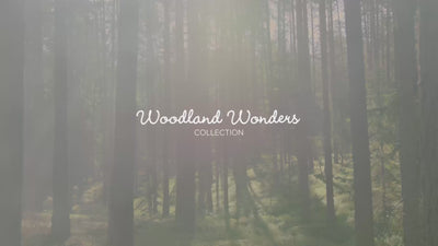 Woodland Wonders collection – child walking through the forest, hand-painted watercolor art and forest animal posters